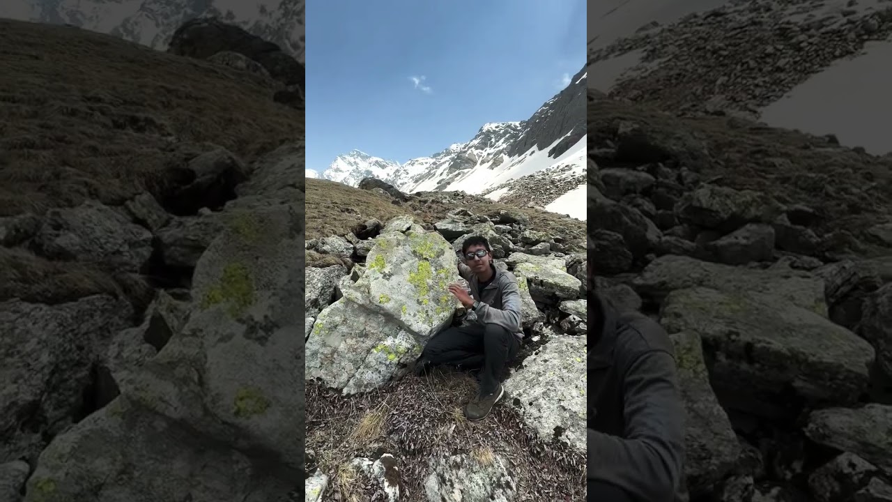 lichens in the Himalayas indicator of Pristine environmen@who @YouTube #biodiversityhotspot