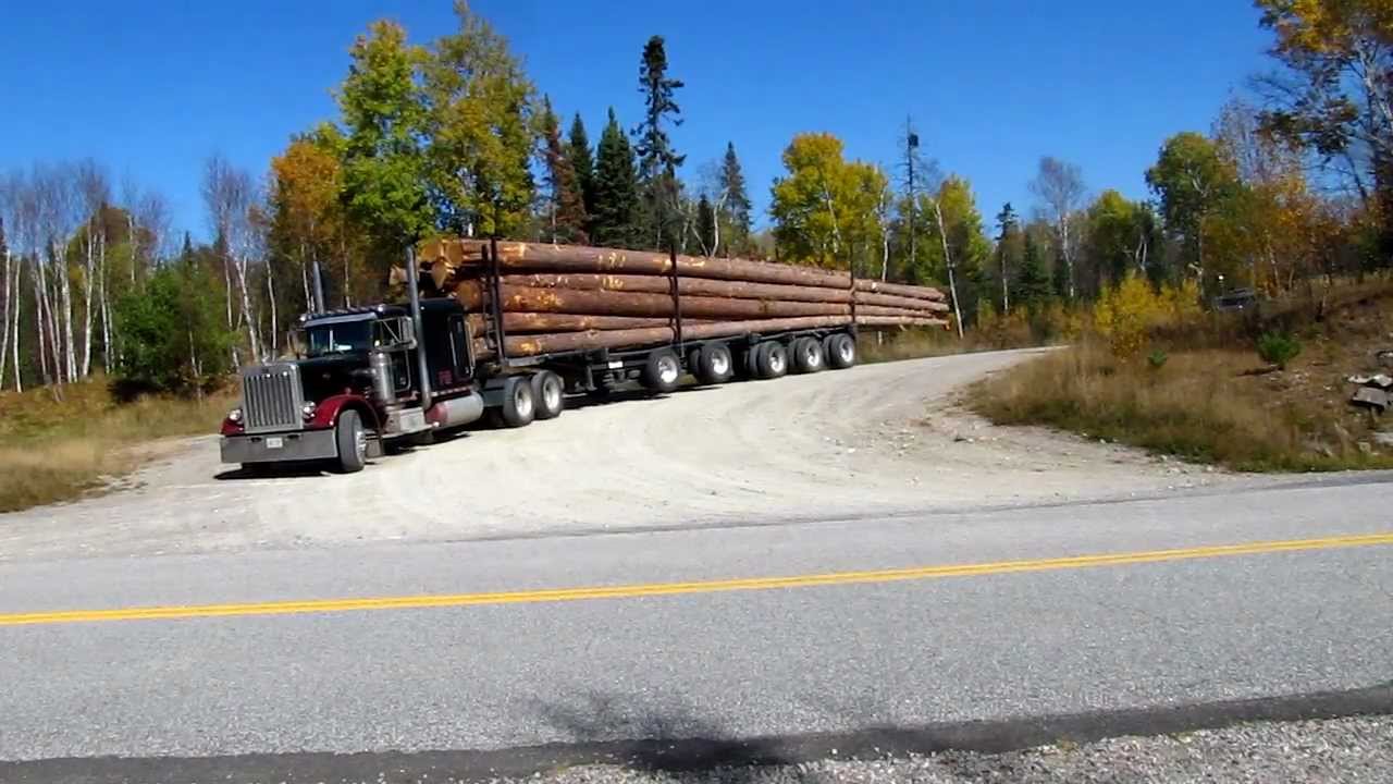 Peterbilt 359 Classic big smoke Logging