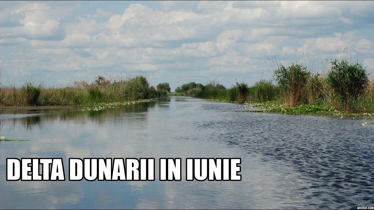 Iunie in Delta Dunarii. Ne-am plimbat pe multe lacuri si canale foarte frumoase.