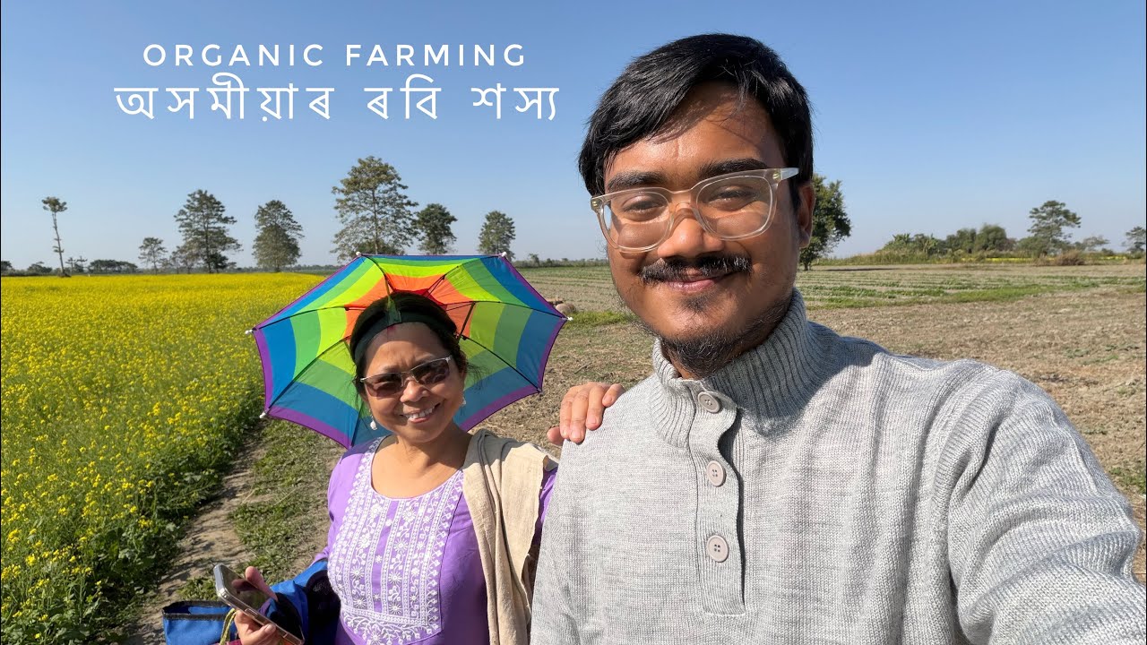 Proud to Be an Assamese | Organic Farming | বৰমইনাৰ ৰঙালাও তলিৰ শাক | অসমীয়াৰ ৰবি শস‍্য 