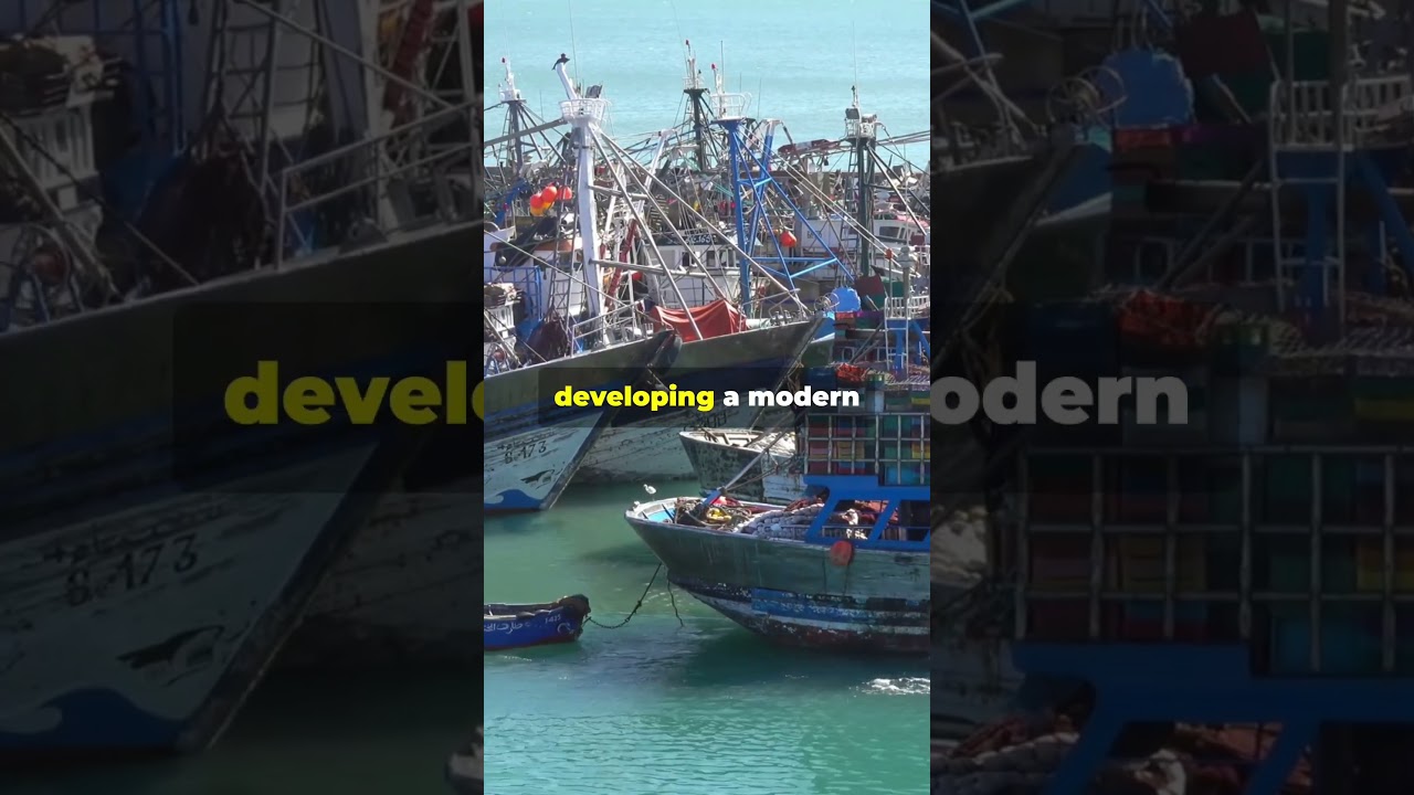 Federalism is killing Somali economy 
