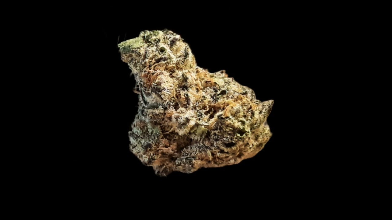🌿 El Jefe &ndash; Der Boss unter den Cannabis Strains! 👑