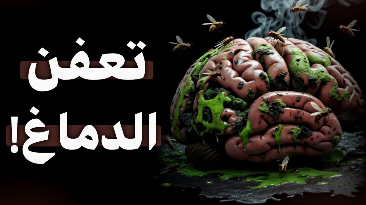 كيف تنقذ نفسك من “تعفن الدماغ” 🤯 !! (قبل فوات الأوان)