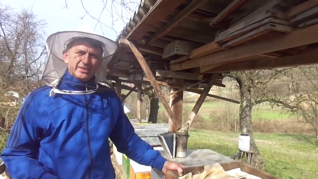 Proširivanje legla u ovom periodu-da ili ne?