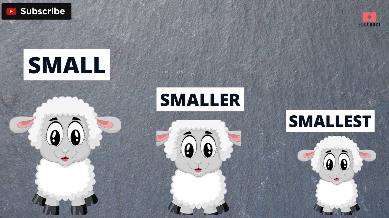 Small Smaller Smallest Concept Class One | Comparison for class one | comparison for kids,  Nursery