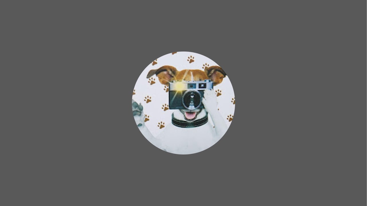 JP (El Cachorro) is live!