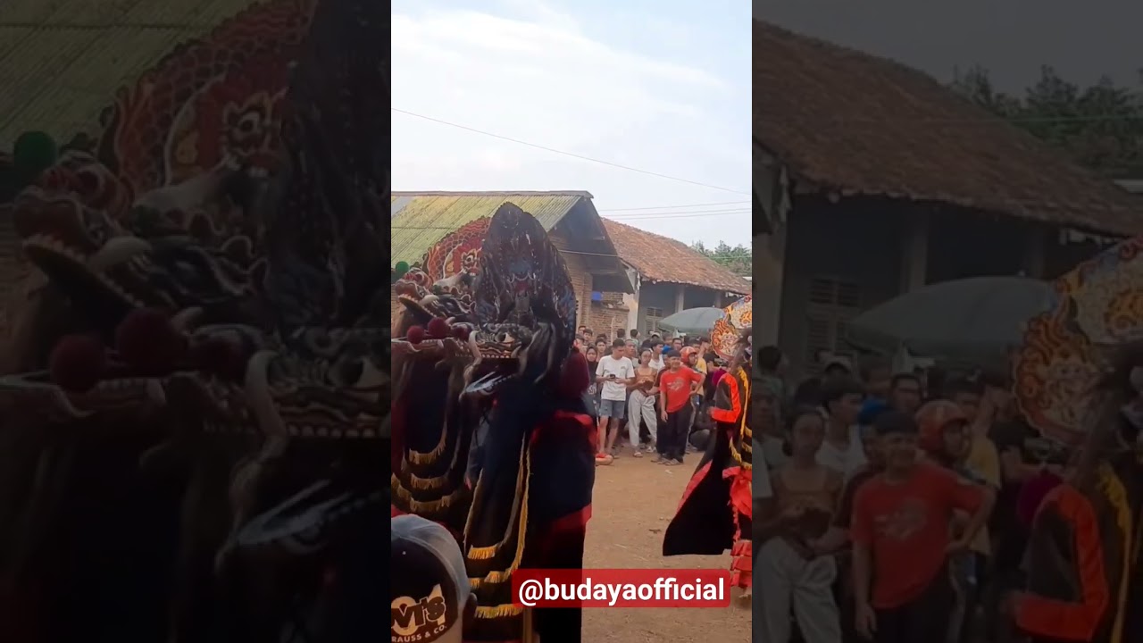 Gerrr ‼️ solah barong  