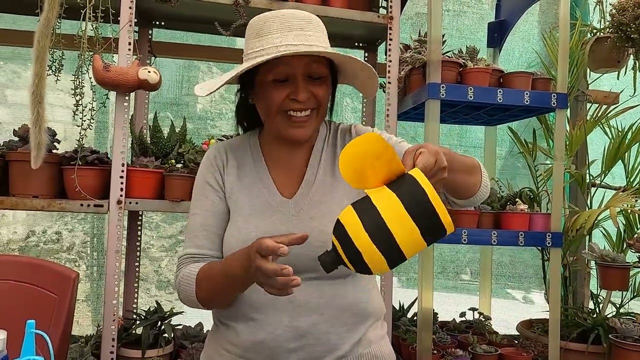 COMO ELABORAR MACETAS RECICLADAS EN FORMA DE ABEJAS 🐝🐝#reciclaje #plantasymasplantas #suculentas 🌹🥰