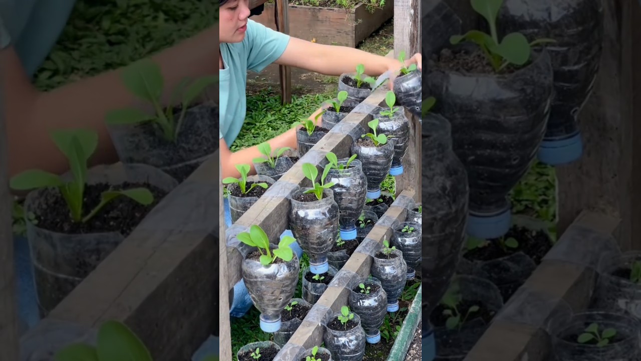 DIY vegetable garden from recycled materials #farming #gardening