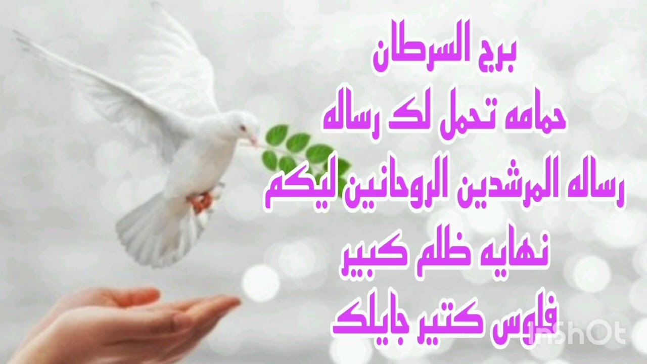برج السرطان حمامه تحمل لك رساله 💫 رساله المرشدين الروحانين ليكم 💫 نهايه ظلم كبير 💥 فلوس كتير جايلك