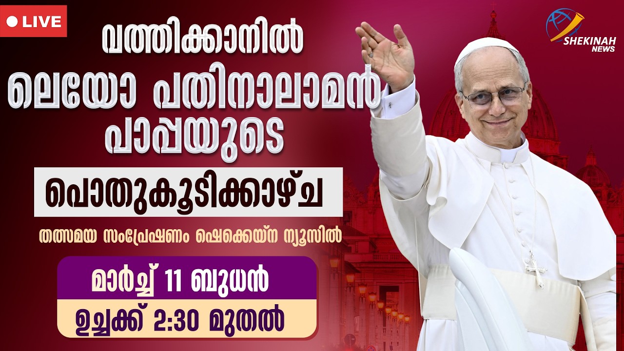 വത്തിക്കാനിൽ നിന്നും ലെയോ പതിനാലാമന്‍ പാപ്പയുടെ പൊതുകൂടിക്കാഴ്ച | POPE LEO XIV | GENERAL AUDIENCE