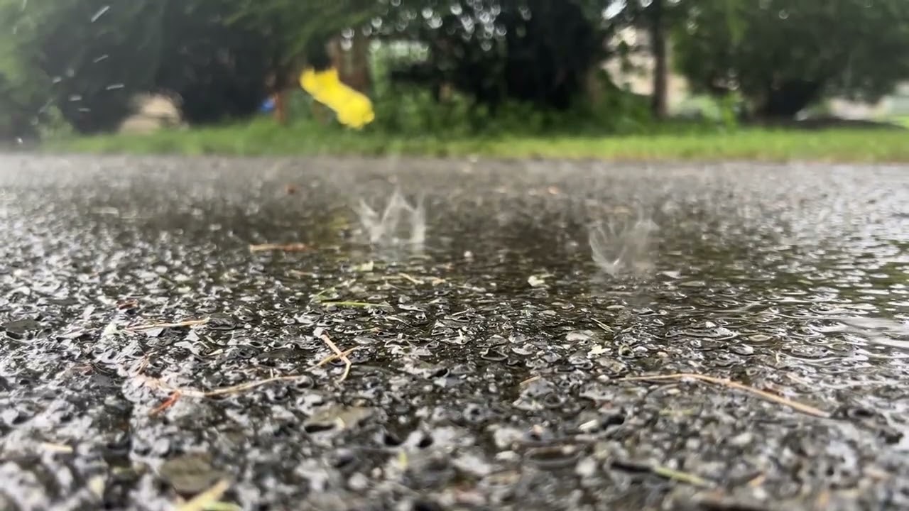 Driveway Thunder Rain 1 Hour | Ambience Relaxing Sounds | Rain sounds | Study Sleep Mood Ambience
