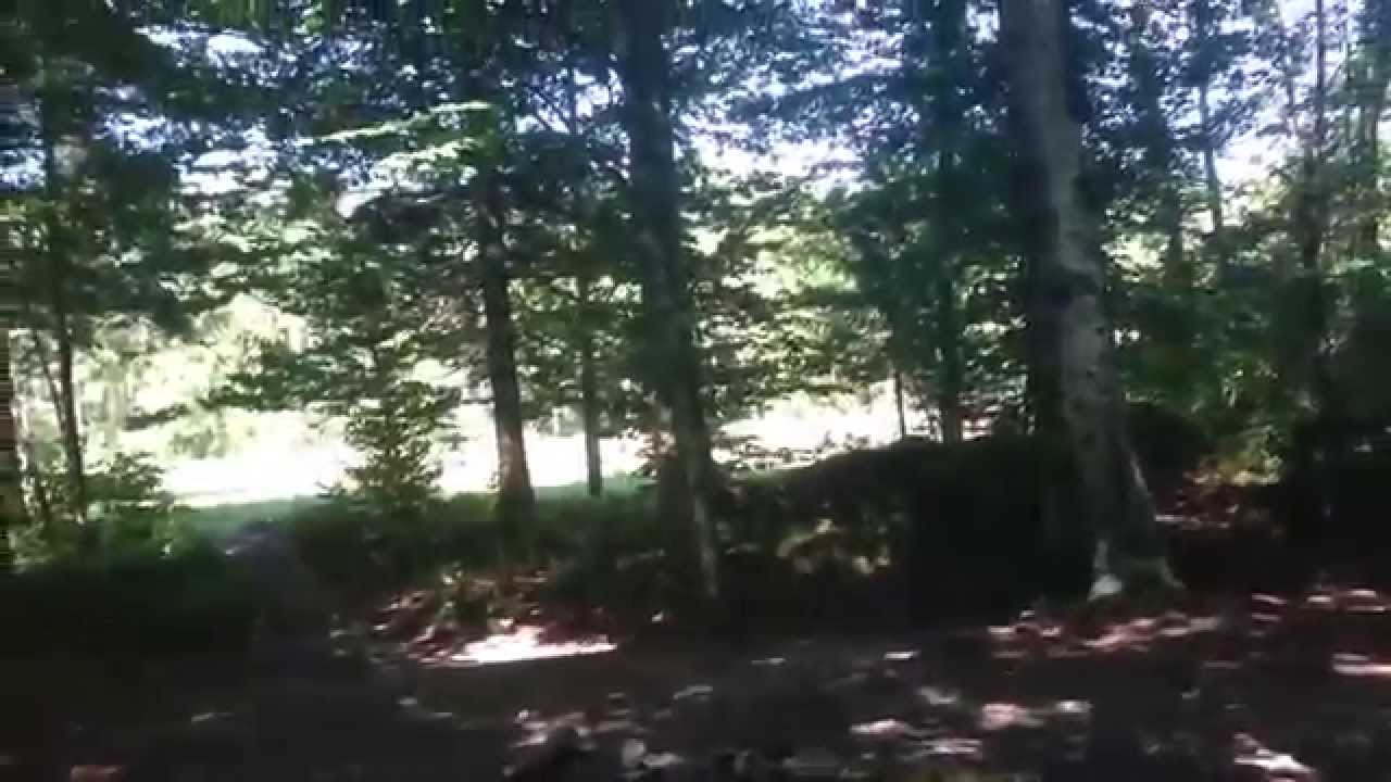 FPV Racing   Crash Session!!!   DASH