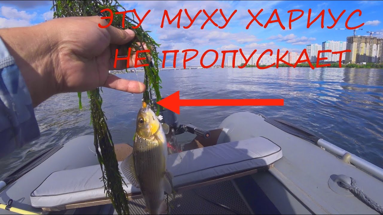 ХАРИУС В ЧЕРТЕ ГОРОДА.