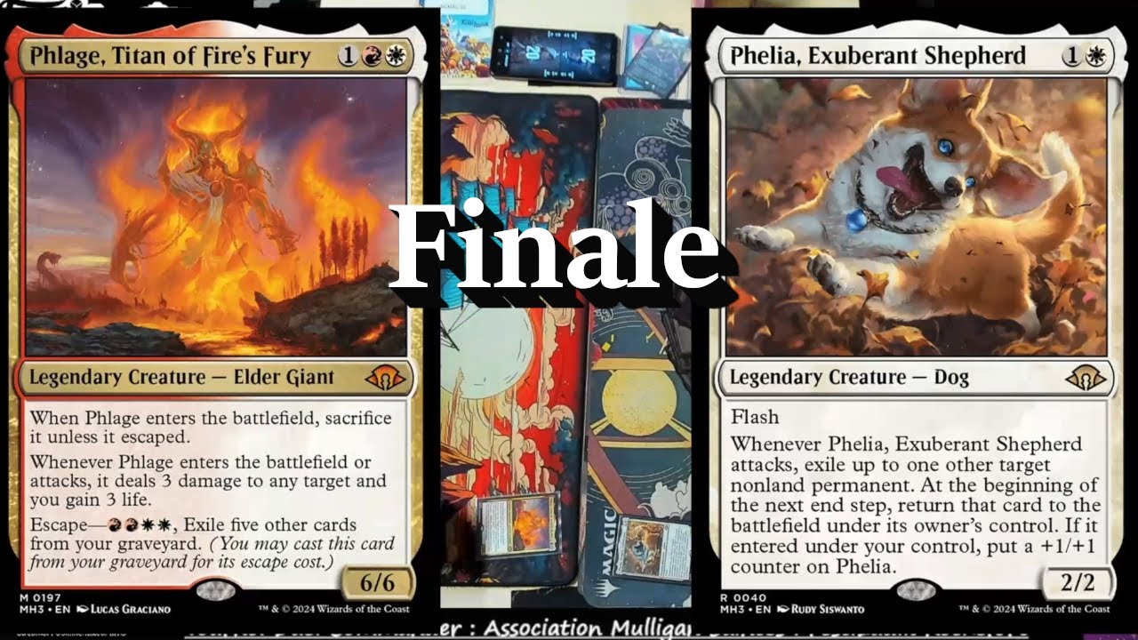 Phlage VS Phélia -Tournoi DC Finale - Association mulligan - Rochefort - 16/11/2024