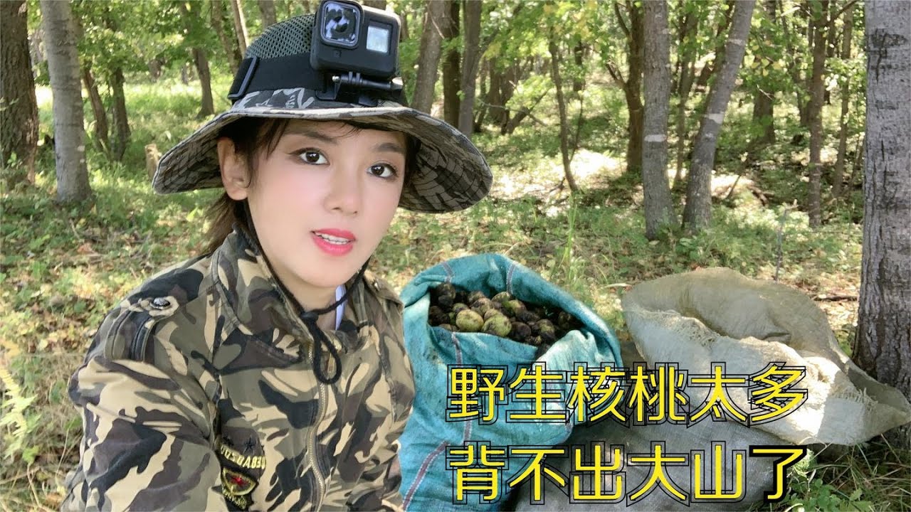 黑龙江大山里遍地的野生核桃，一口气捡了几百斤，怎样背出去？