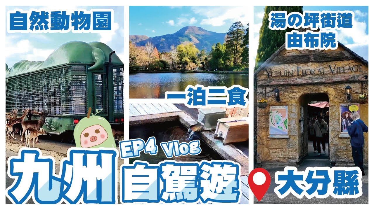 《冬瓜豬日本篇》EP4 九州8日自駕遊🚗Day 5~今集會去大分縣超人氣景點~九州自然動物園~由布院湯の坪街道~花卉村~金鱗湖~入住溫泉旅館一泊二食♨｜提供電話或Mapcode方便自駕遊朋友｜冬瓜豬｜