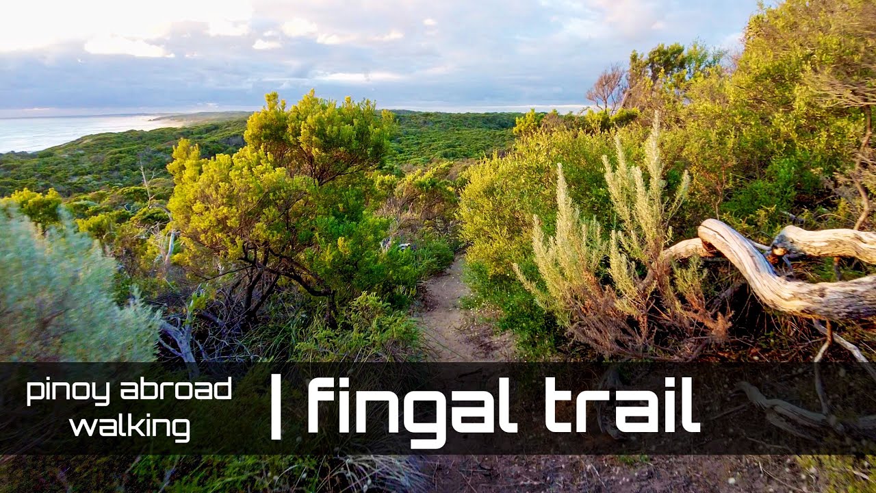 Walking In The Coastal Nature Of Fingal - Gunnamatta, VIC, Australia | 4K | ASMR Nature White Noise