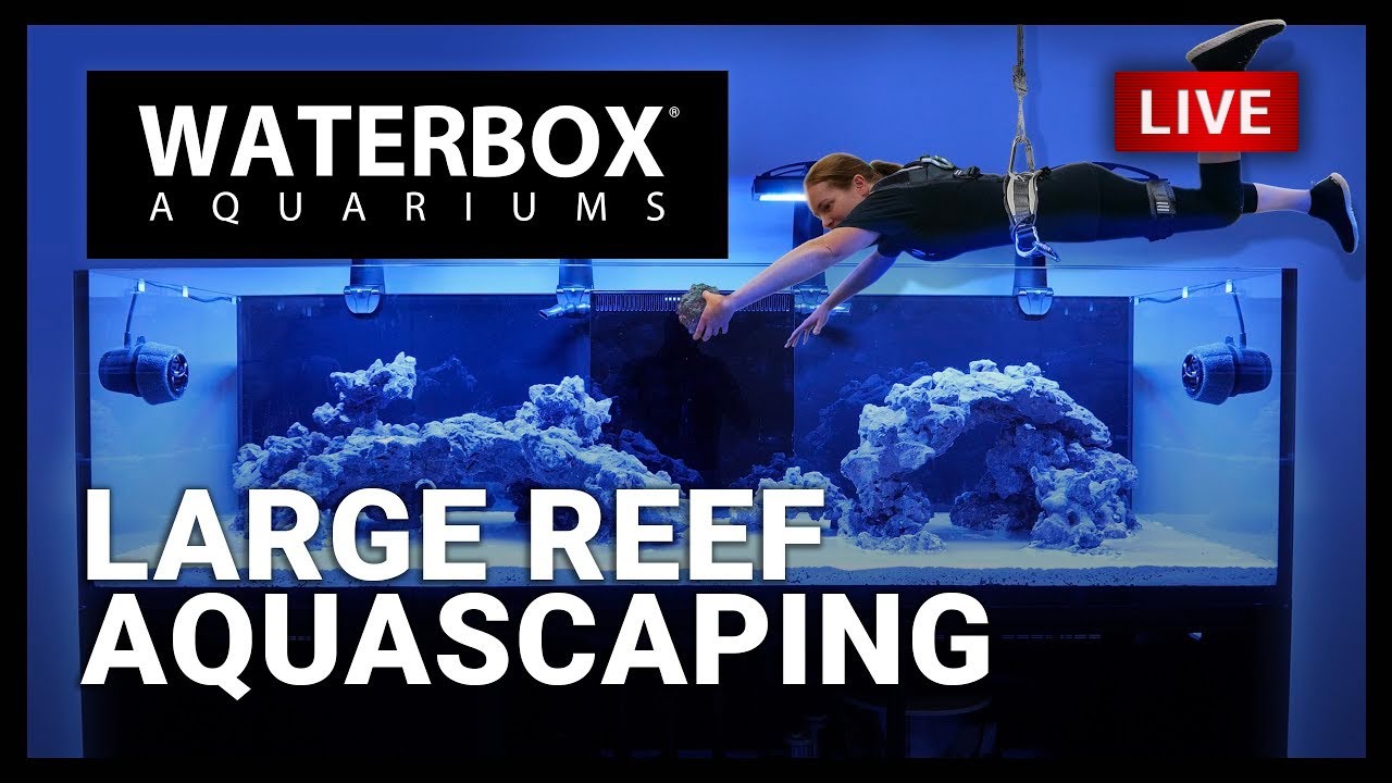 EP06 | Aquascaping a Large Reef Aquarium with Caribsea LifeRock. A Guide to Large Reef Aquariums.