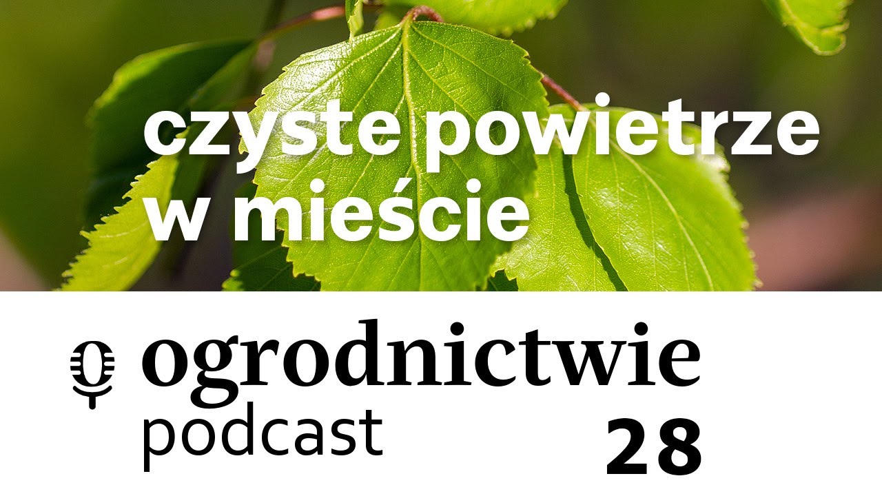 #028 czyste powietrze w mieście - o ogrodnictwie