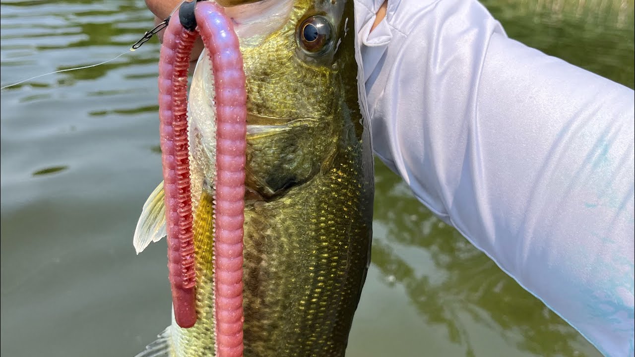 Trying too hard to force a Deps 13” kincoo bite