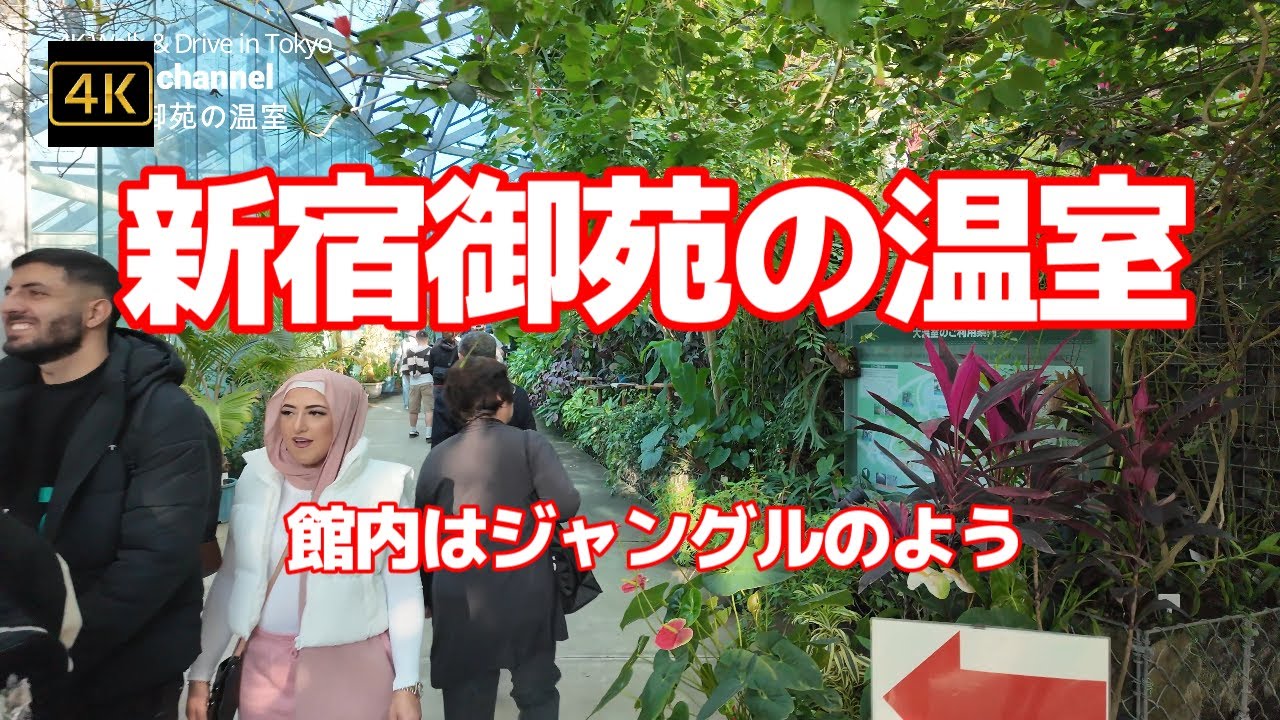 4K【新宿御苑の温室～希少植物の宝庫！巨大なガラス張りの「温室」】【館内はジャングルのよう熱帯の植物と滝】【訪日外国人に人気で上位の観光スポット】【Shinjuku Gyoen】#4Kぶらぶら散歩