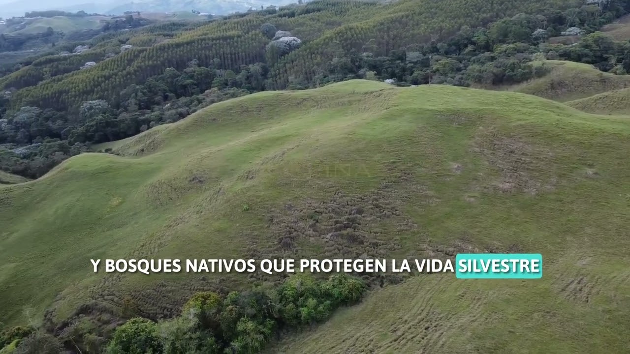 🌄 ¡Finca de 110 hectáreas en La Bella, Risaralda! Naturaleza, agua y visión en una sola propiedad. 🌿