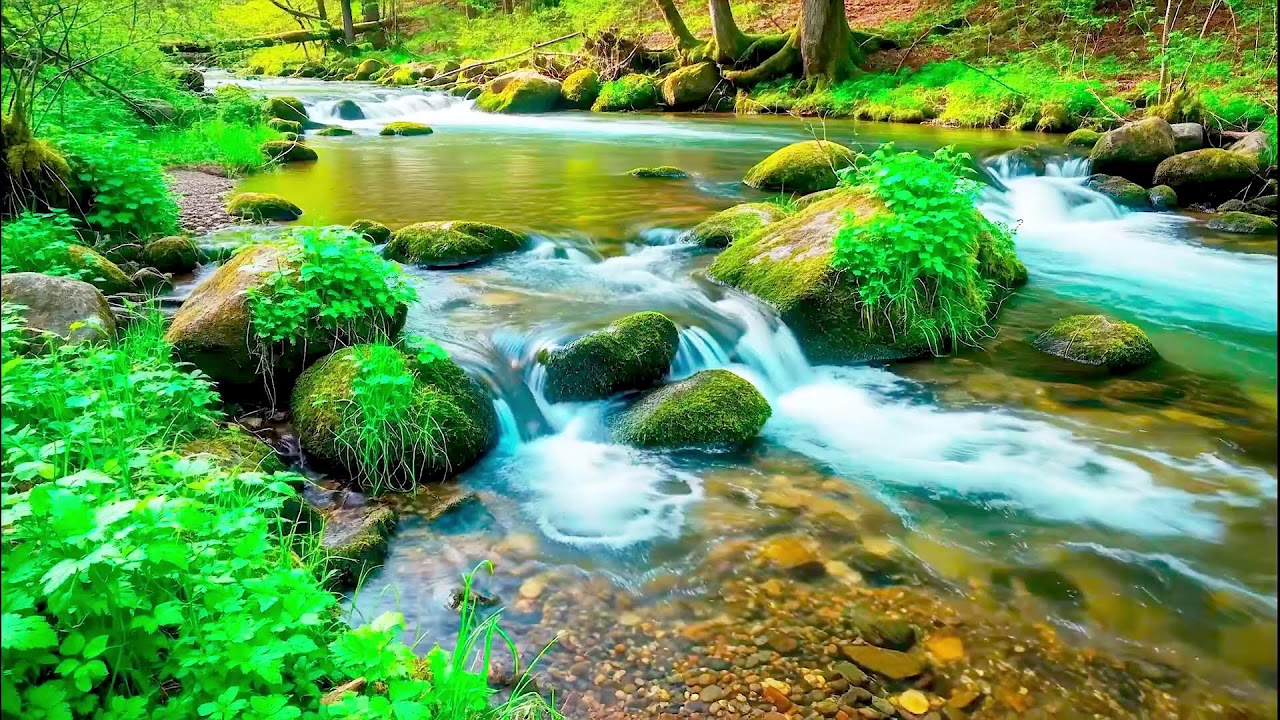 Natural River Sound for Deep Sleep | Stress Relief Audio for Health & Mindfulness