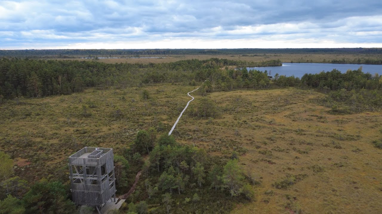 #35 KOIGI STUDY TRAIL’S OBSERVATION TOWER