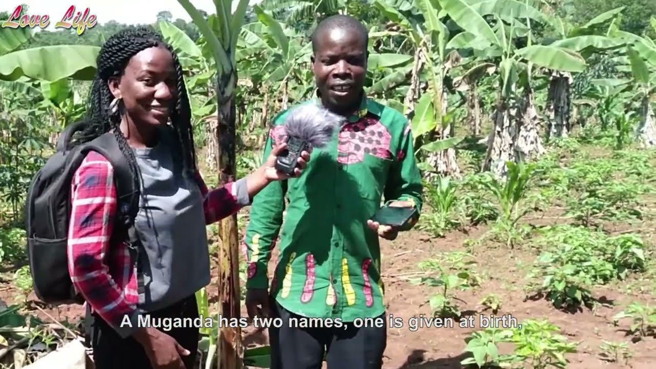 Growing Pepper in Uganda Part 13 | Planting more pepper plants in a tiny space