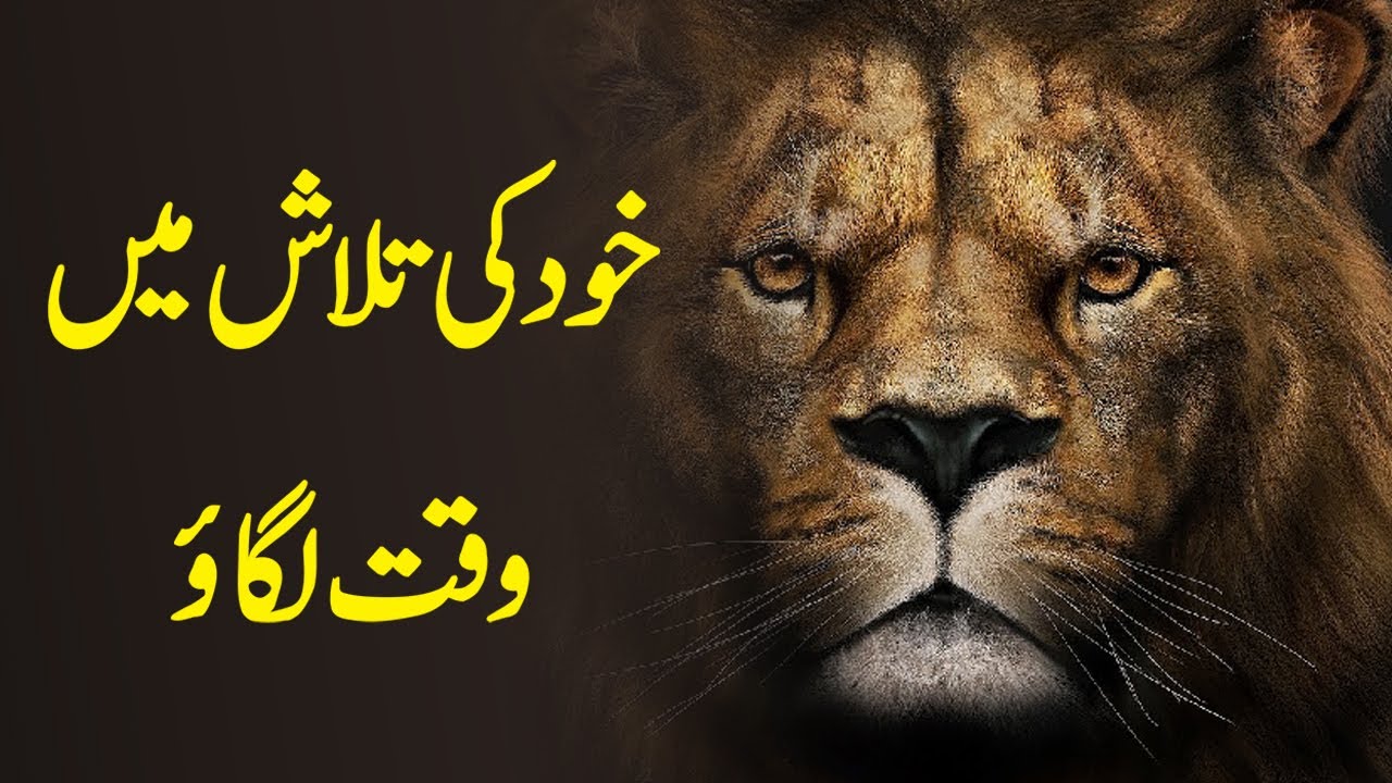 Find Yourself A Motivational Journey - The Motivational Video in Urdu That Will Change Your Future