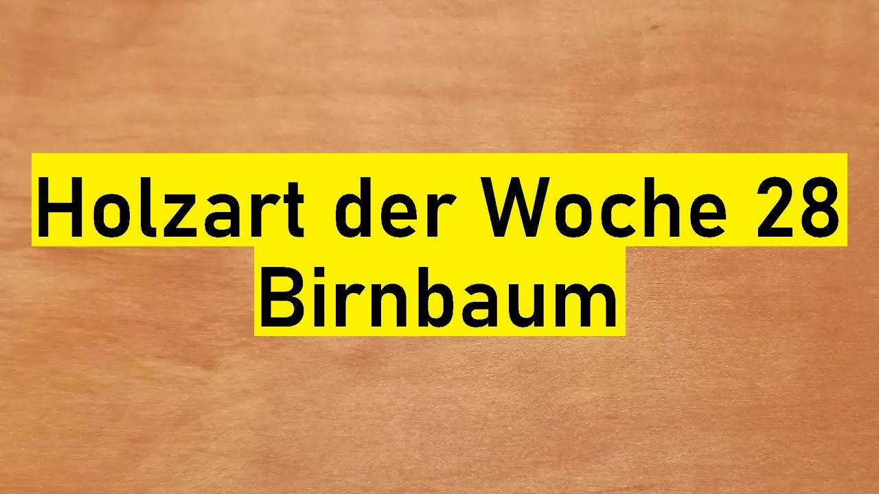 Holzbestimmung: Holzart der Woche 28 &ndash; Die Obsth&ouml;lzer &ndash; Birnbaum
