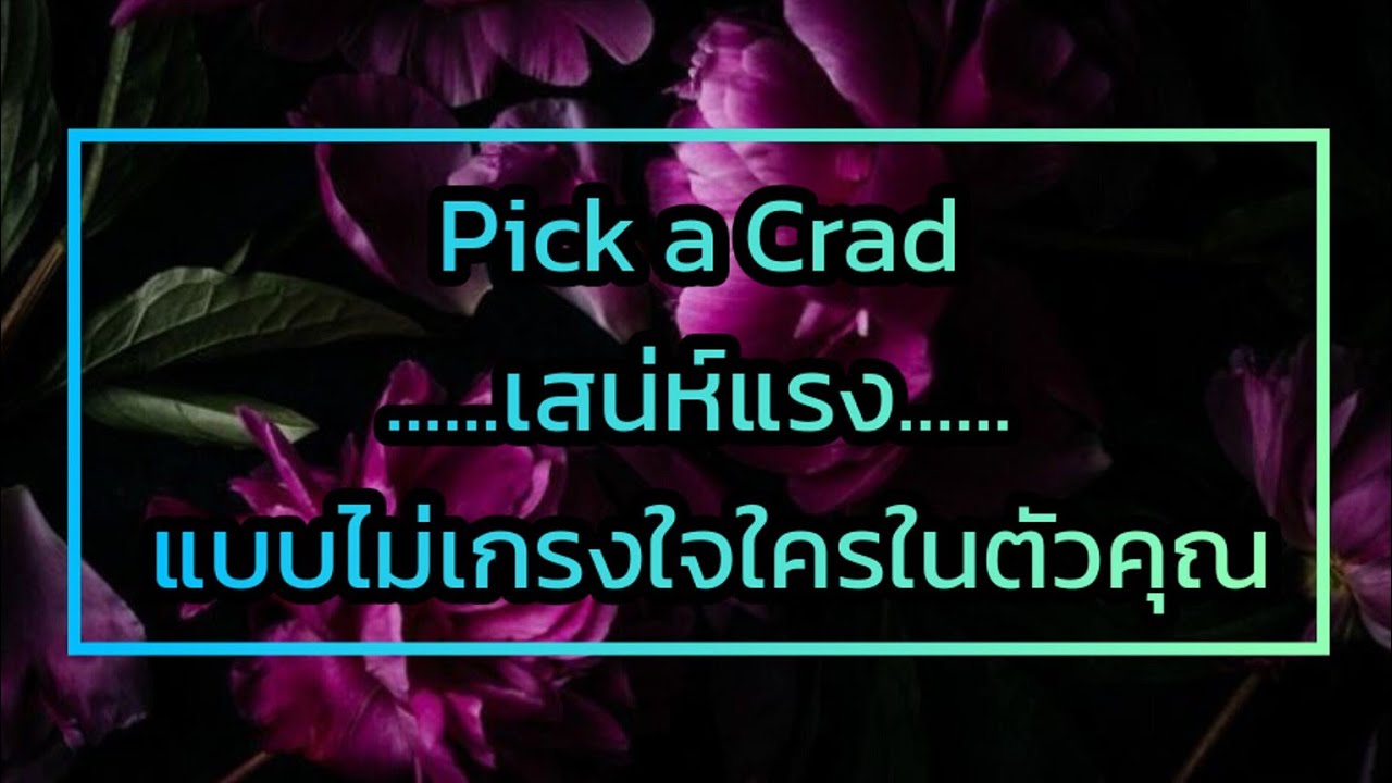Pick a Card เสน่ห์แรง แบบไม่เกรงใจใครในตัวคุณ