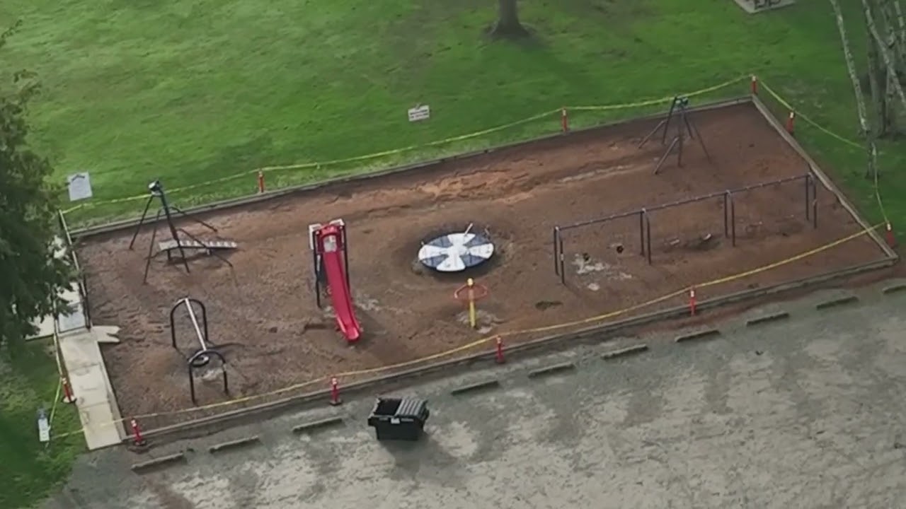 Sedro-Woolley 2025 Post Flood Drone (2)