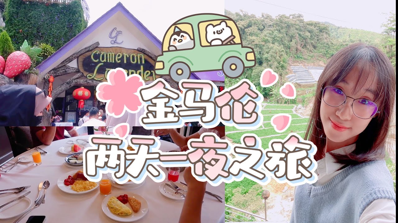 【金马路伦两天一夜旅游】Cameron Highland Travel Vlog