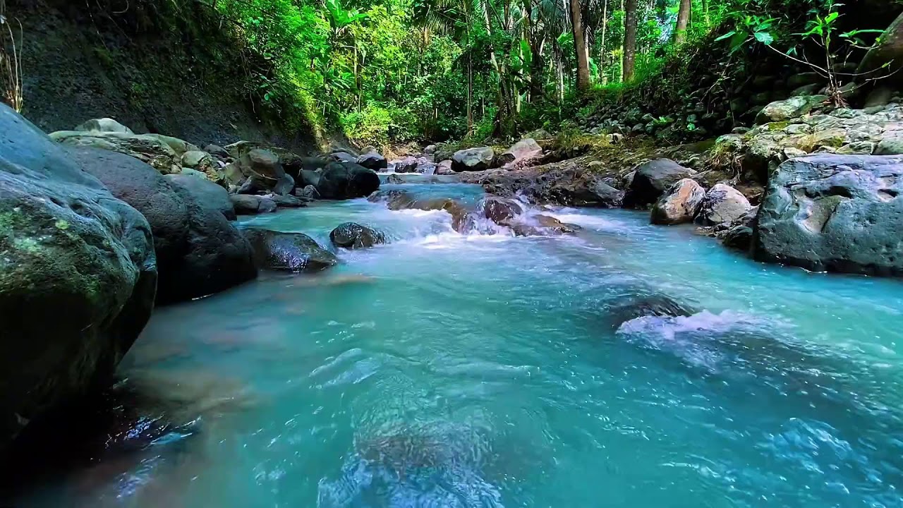 Flowing Mountain Stream Water Audio, Forest River, Sleep