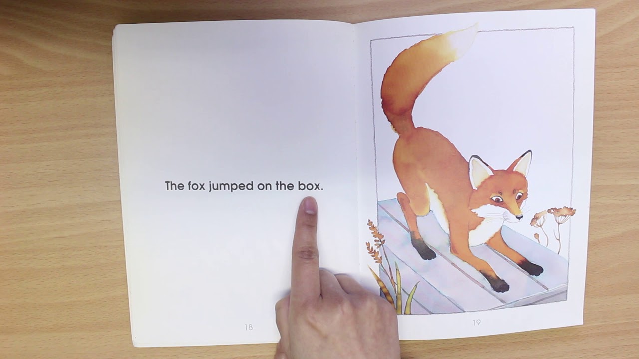 THE FOX ON THE BOX