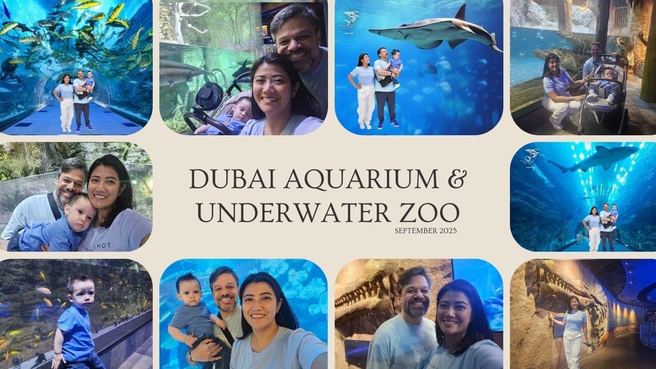 Dubai Aquarium & Underwater Zoo | SEPTEMBER 2025