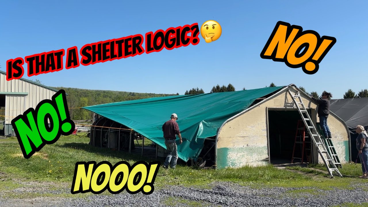 Not a shelter logic/but a fantastic alternative  to replace your shelter logic buildings cover.￼