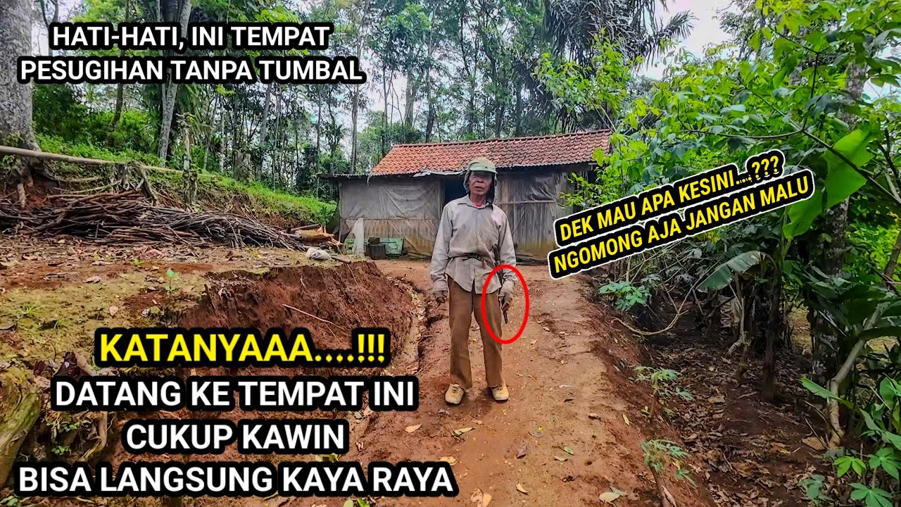 DATANG KESINI CUKUP KAWIN BISA JADI KAYA RAYA TERNYATA ADA SEORANG KAKE HIDUP SENDIRI DI HUTAN