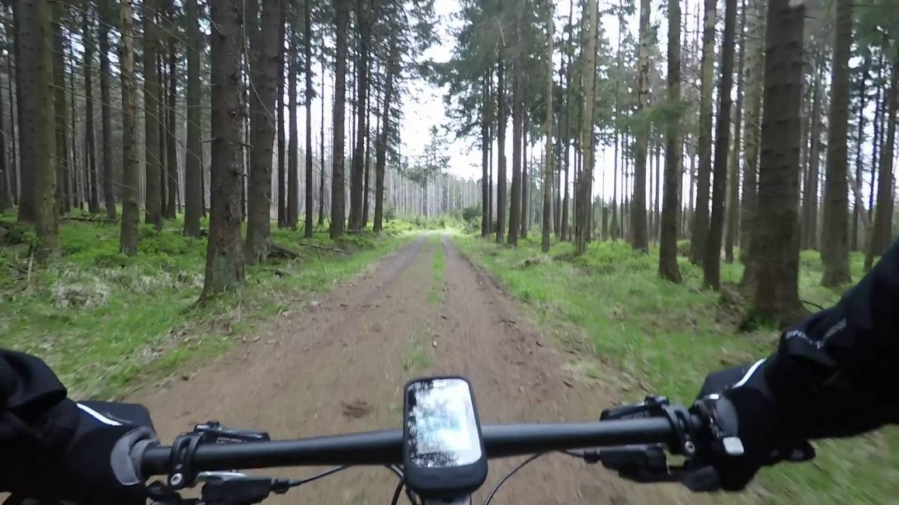 2016 Harz Hohnekamm Trail Tour