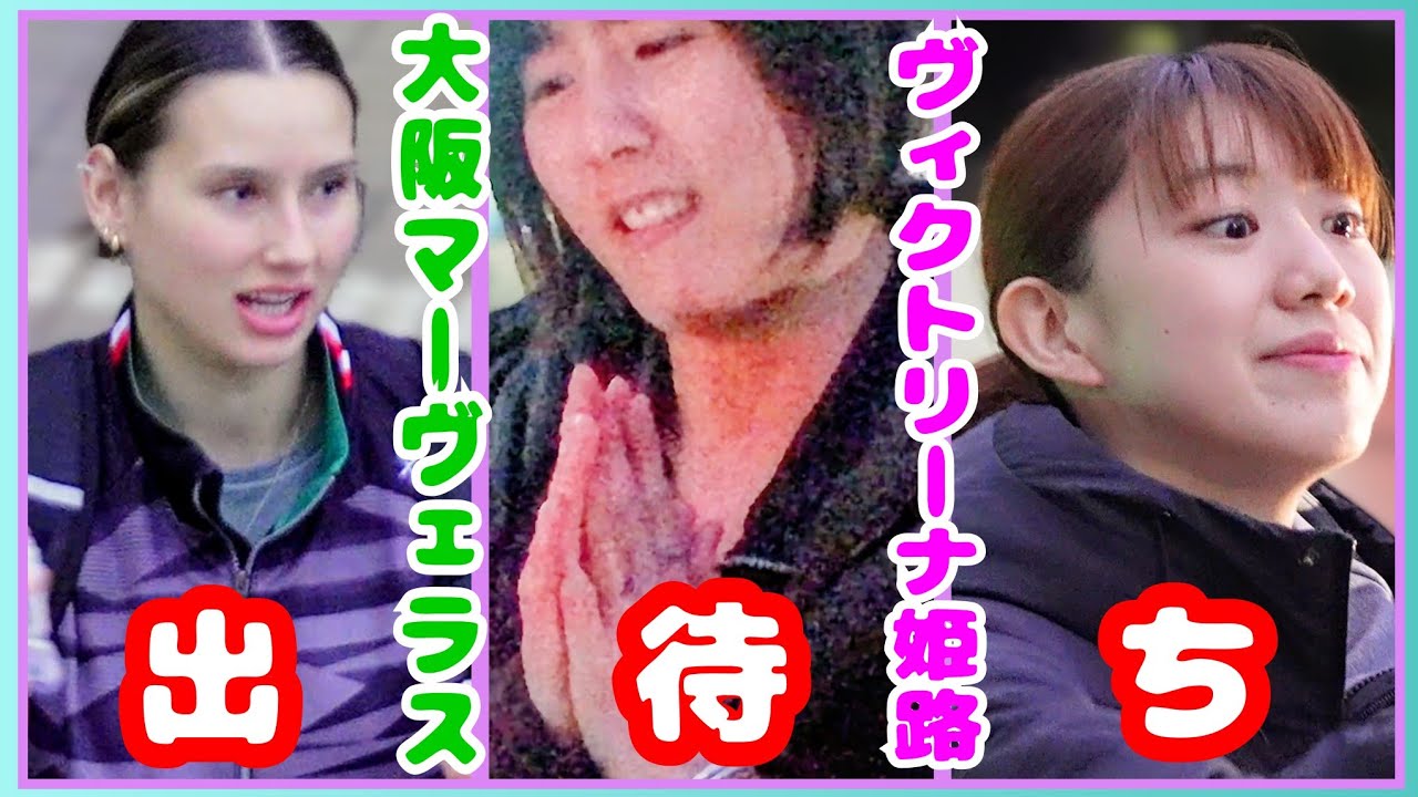 【女バレ2025-26】女子バレーボール選手寒中出待ち🏐イジェヨン困惑、宮部姉妹、野中瑠衣、リセ＆サマンサら両チーム合同ファンサ💨ヴィクトリーナ姫路 大阪マーヴェラスWomen'sVolleyball