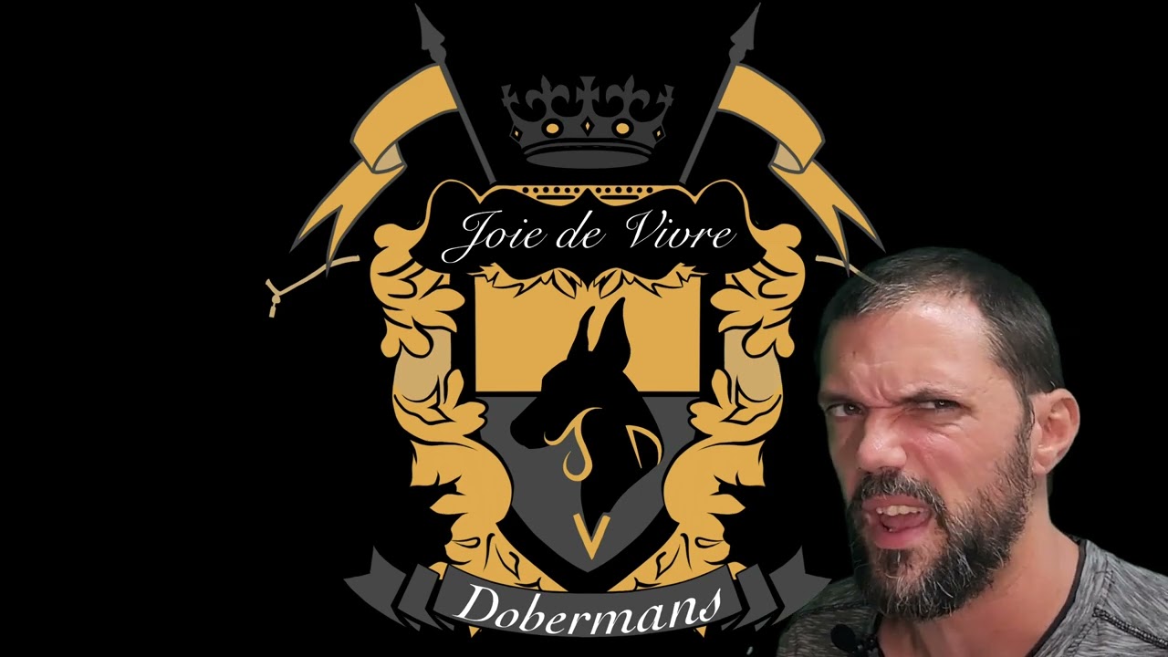 European Doberman Breeders: Joie De Vivre Dobermans Who Are We?