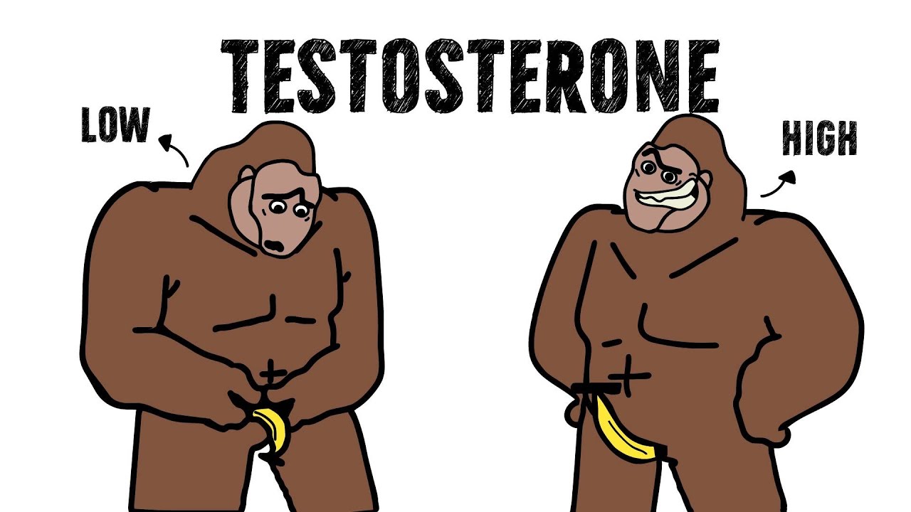 How To Increase Testosterone Naturally Explained By Ape 