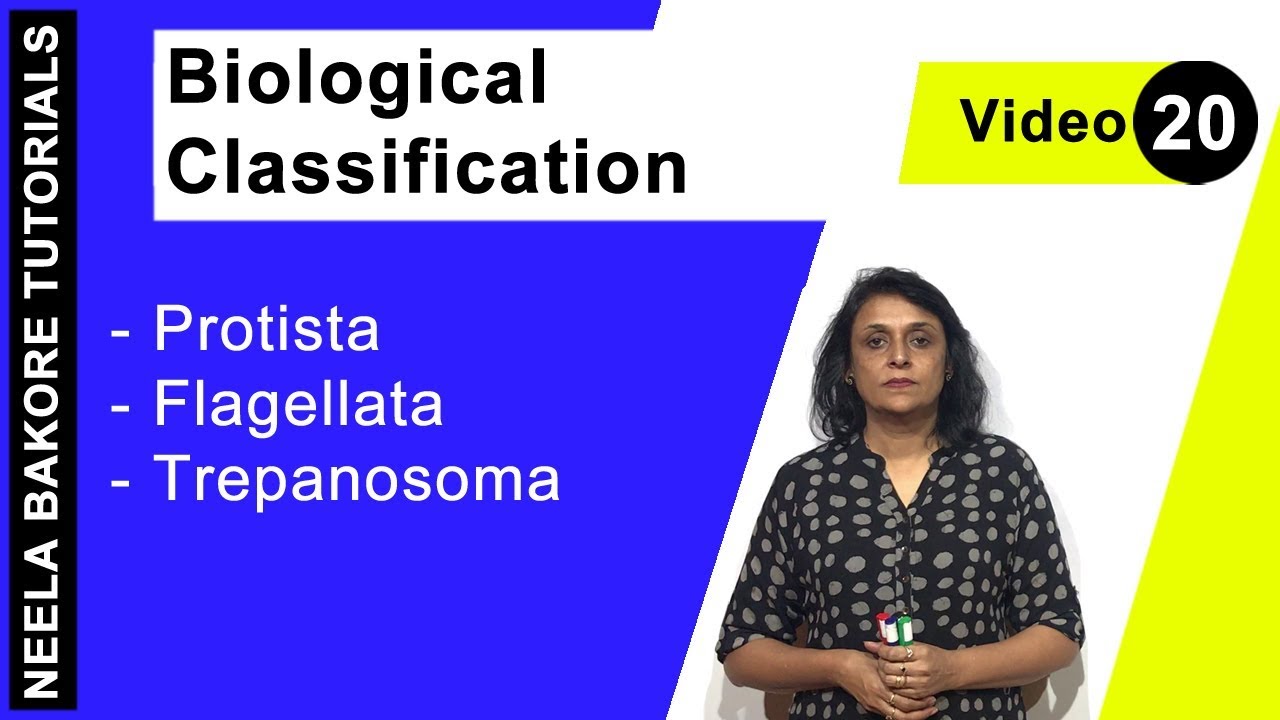 Biological Classification | NEET | Protista - Flagellata - Trepanosoma | Neela Bakore Tutorials