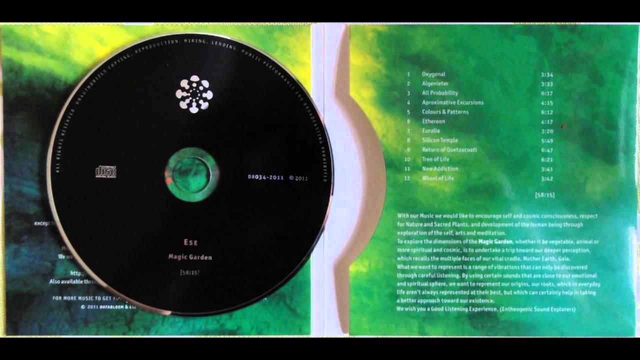 Entheogenic Sound Explorers  - New Addiction