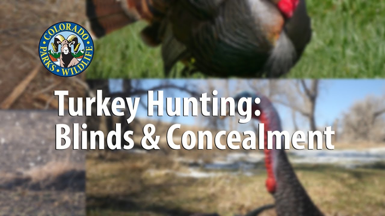 Turkey Hunting Blinds & Concealment
