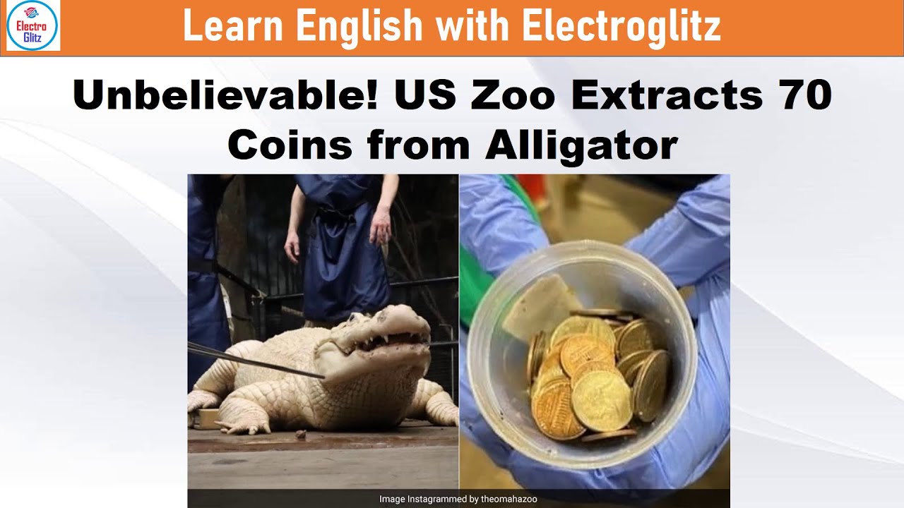 Unbelievable! US Zoo Extracts 70 Coins from Alligator &ndash; Learn English through News
