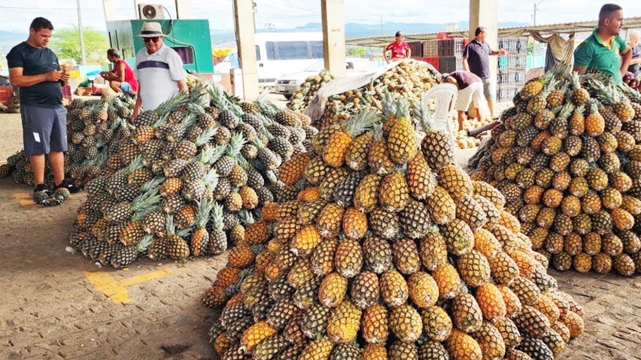 ABACAXI DE 1,00 NA CEACA EM CARUARU-PE. ISTO É NORDESTE!