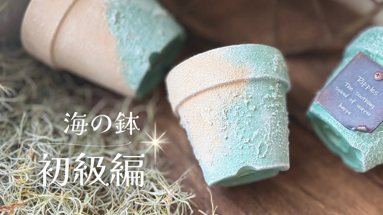 『海の鉢　初級編』リメイク鉢　Horticulture Flower Arrangement 多肉植物